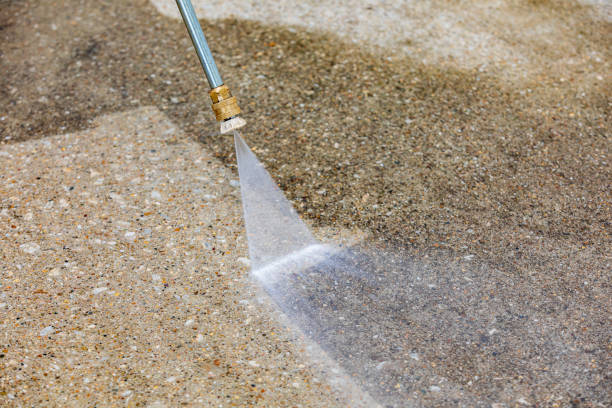 Best Sidewalk and Walkway Cleaning  in Ladonia, AL
